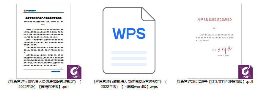 《应急管理行政执法人员依法履职管理规定》（应急管理部令第9号）【全文附PDF扫描版+word版】